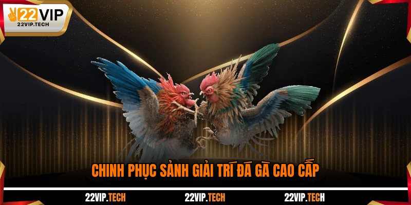 Chinh phục sảnh giải trí đá gà cao cấp