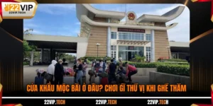 Cửa Khẩu Mộc Bài Ở Đâu? Chơi Gì Thú Vị Khi Ghé Thăm