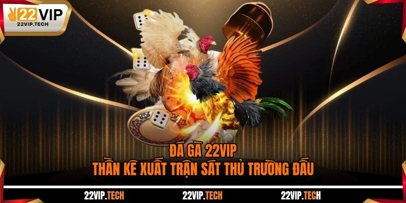 Đá Gà 22VIP - Thần Kê Xuất Trận, Sát Thủ Trường Đấu